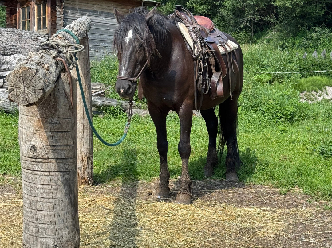 Charlotte Horse Riding-Campitello di Fassa必去景点