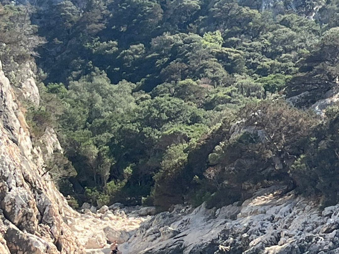 Fuorirotta Charter-Santa Maria Navarrese必去景点