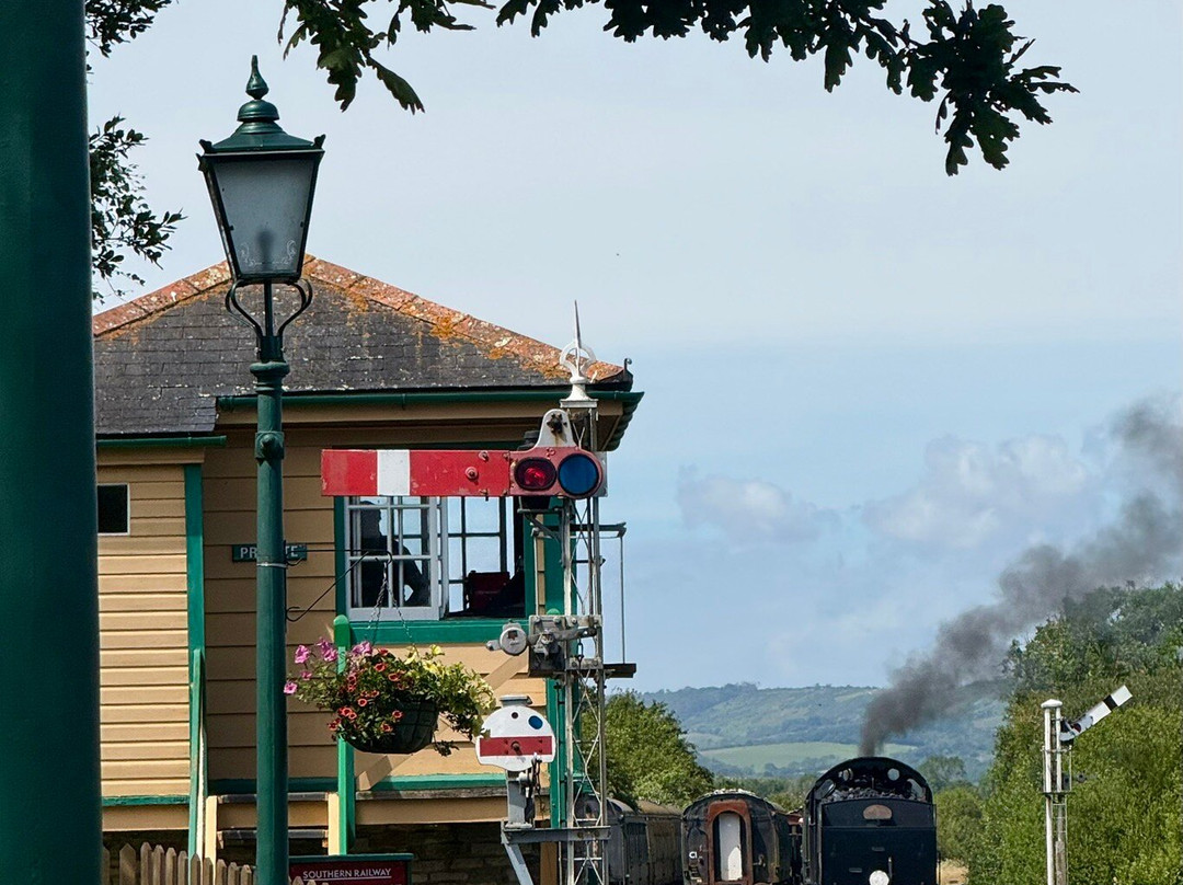 Swanage Railway-斯沃尼奇必去景点