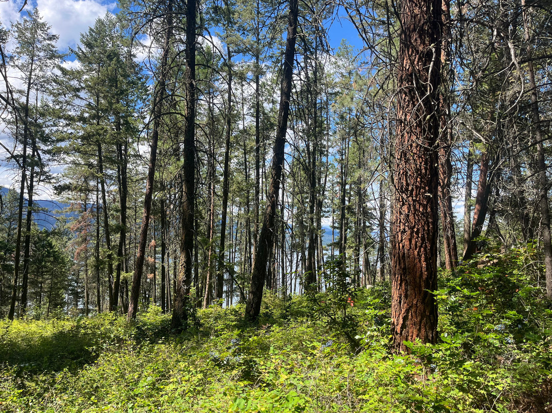 Ellison Provincial Park-弗农必去景点