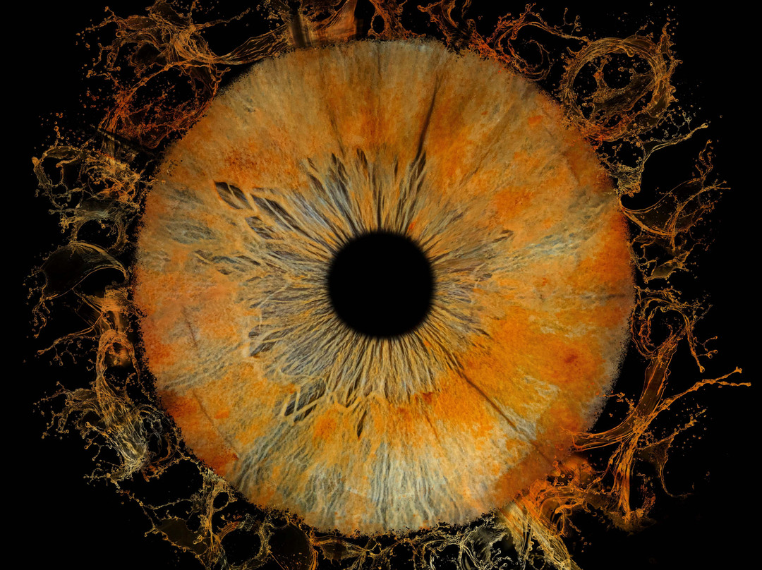 Iris Galerie Arnhem-阿纳姆必去景点