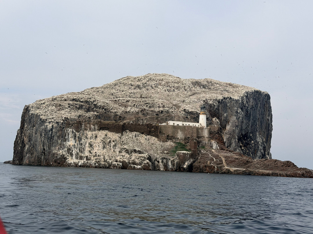 Scottish Seabird Centre-北柏威克必去景点