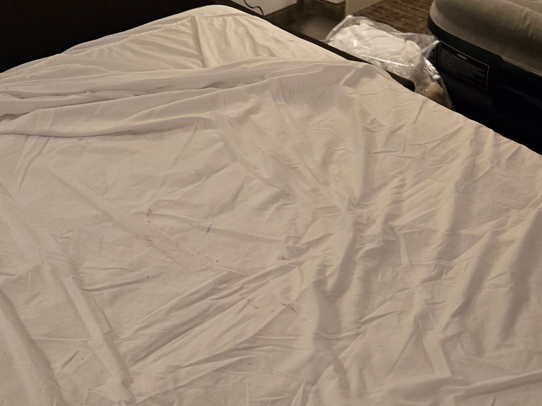 Residence Inn St. Louis O'Fallon主图