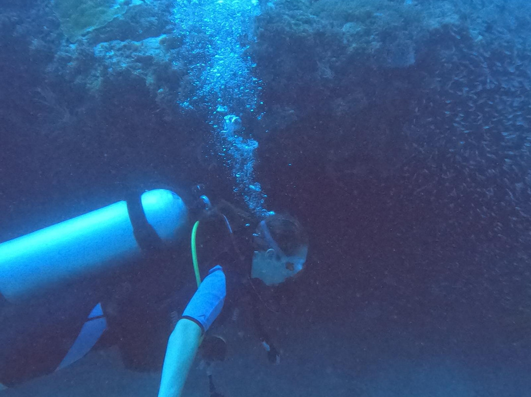 Sun Siyam Diving-伊露岛必去景点