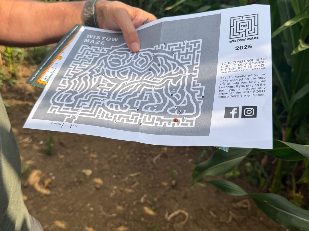 Wistow Maze-Wistow必去景点