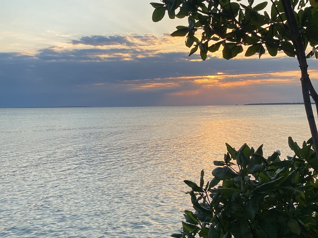 Suley Taxi Driver Zanzibar and Tours-孥归必去景点