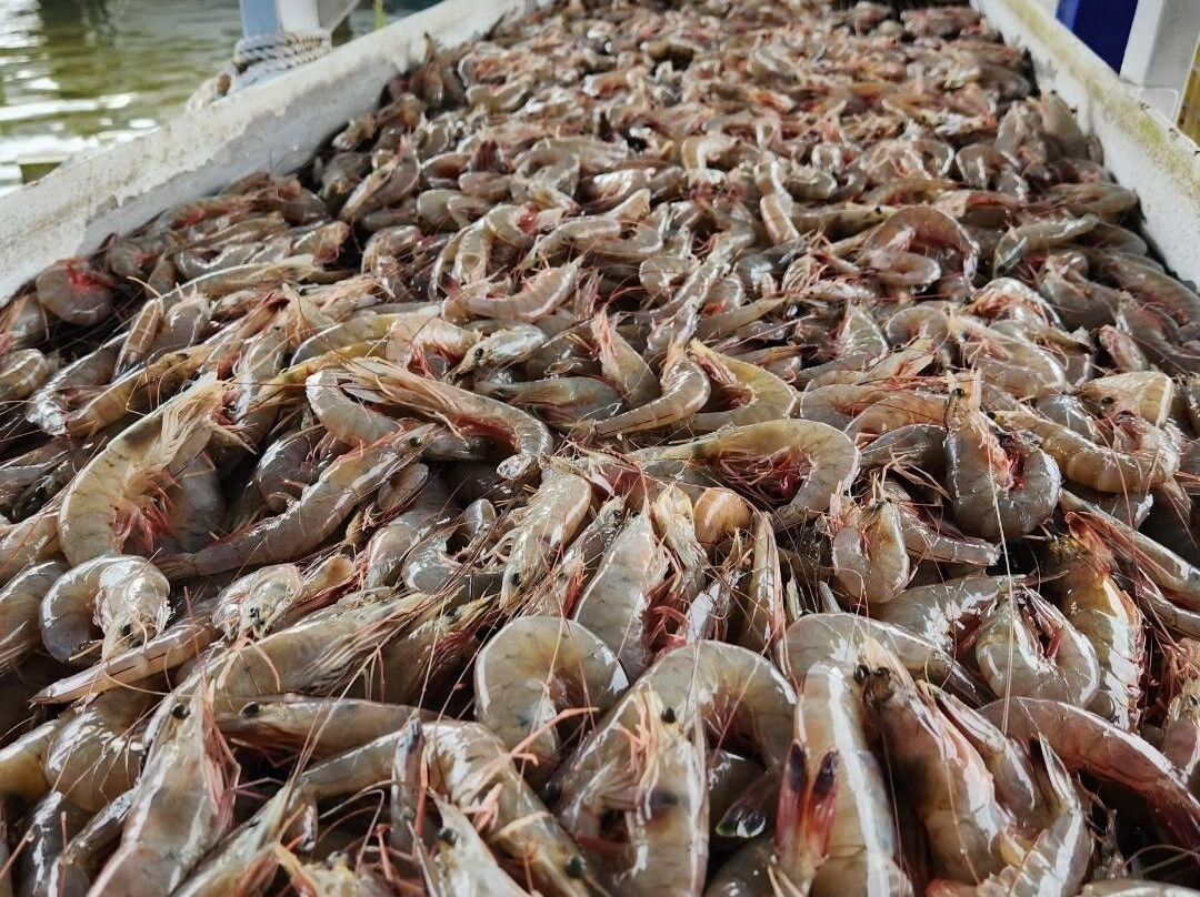 Billy's Seafood-Bon Secour必去景点
