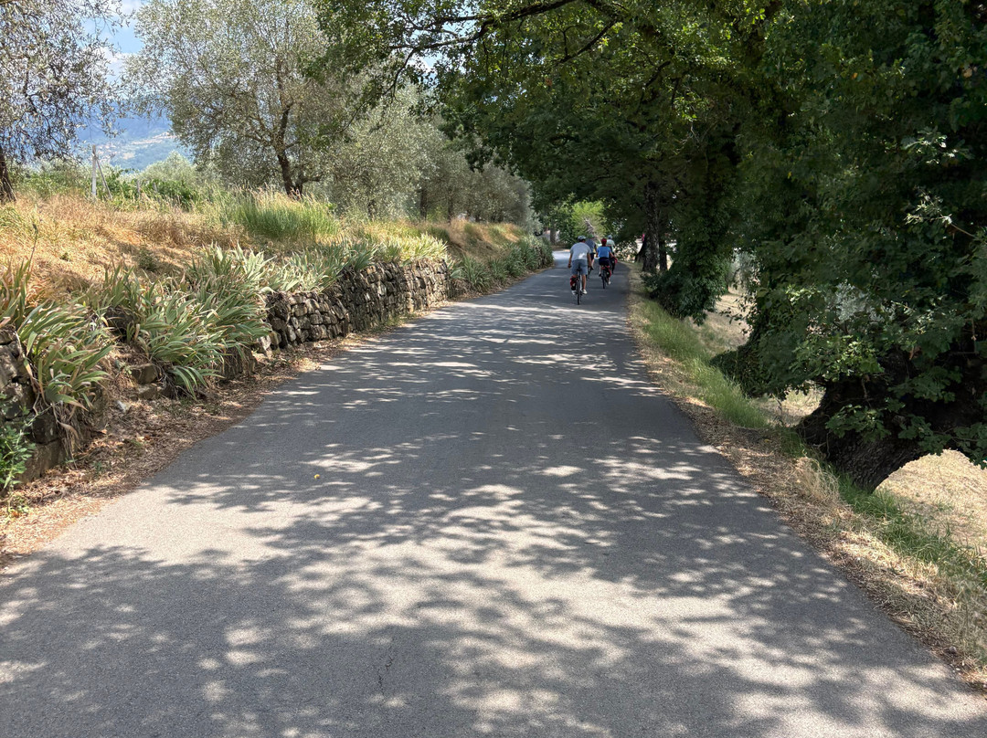Toscana by Bike-蒙特斯佩托利必去景点