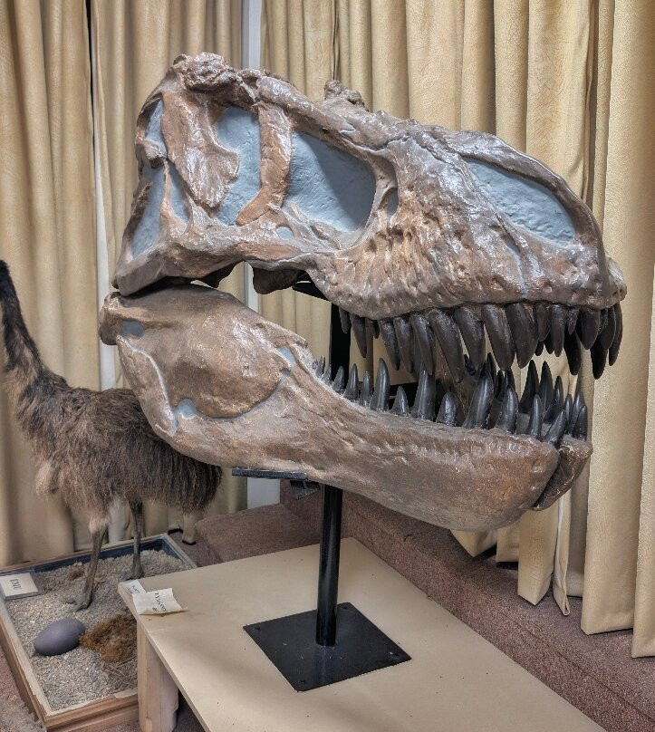 Stones 'N Bones Museum-Sarnia必去景点