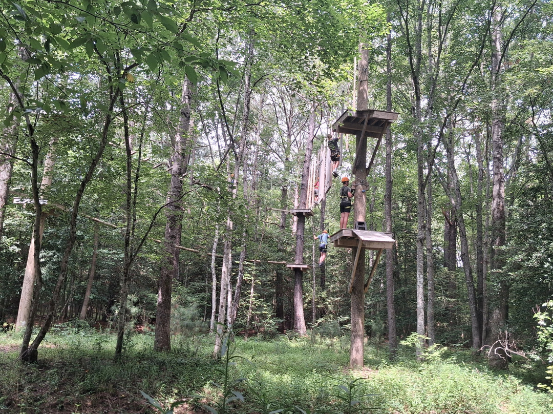 Canopy Adventure Park-中洛锡安必去景点