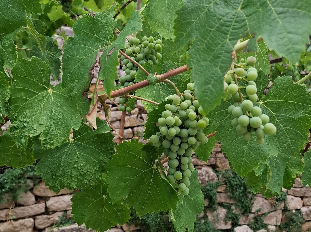 Chateau de Bournazel-Bournazel必去景点