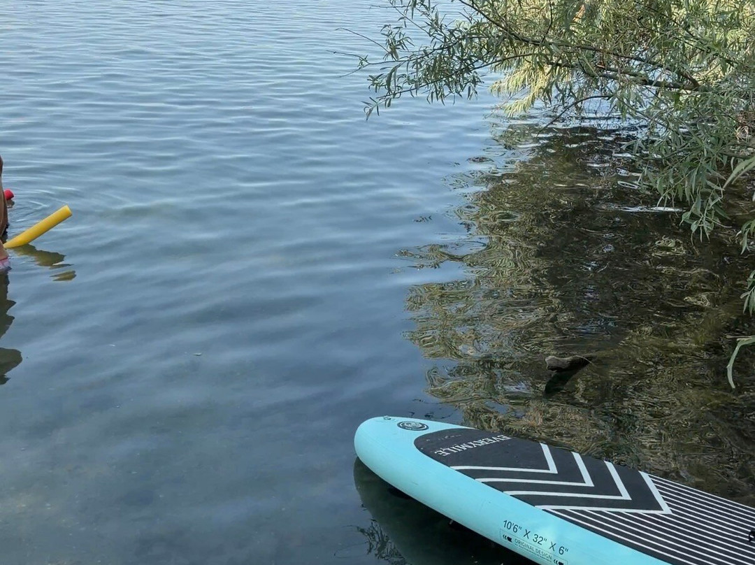 Silbersee-Bobenheim-Roxheim必去景点