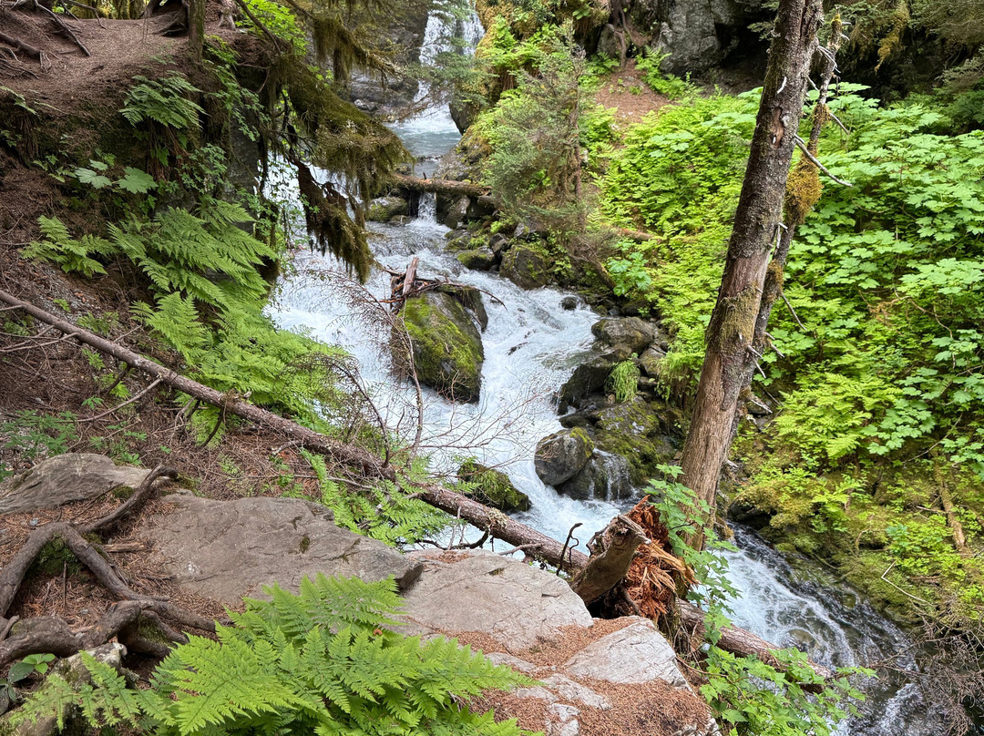 Virgin Creek Falls Trail-戈德伍德必去景点