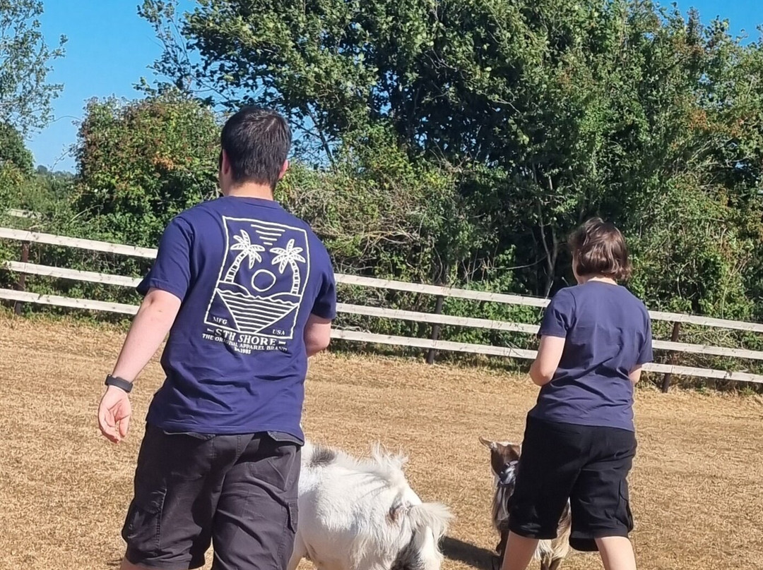 Little Goats At Brockenhurst-Brockenhurst必去景点