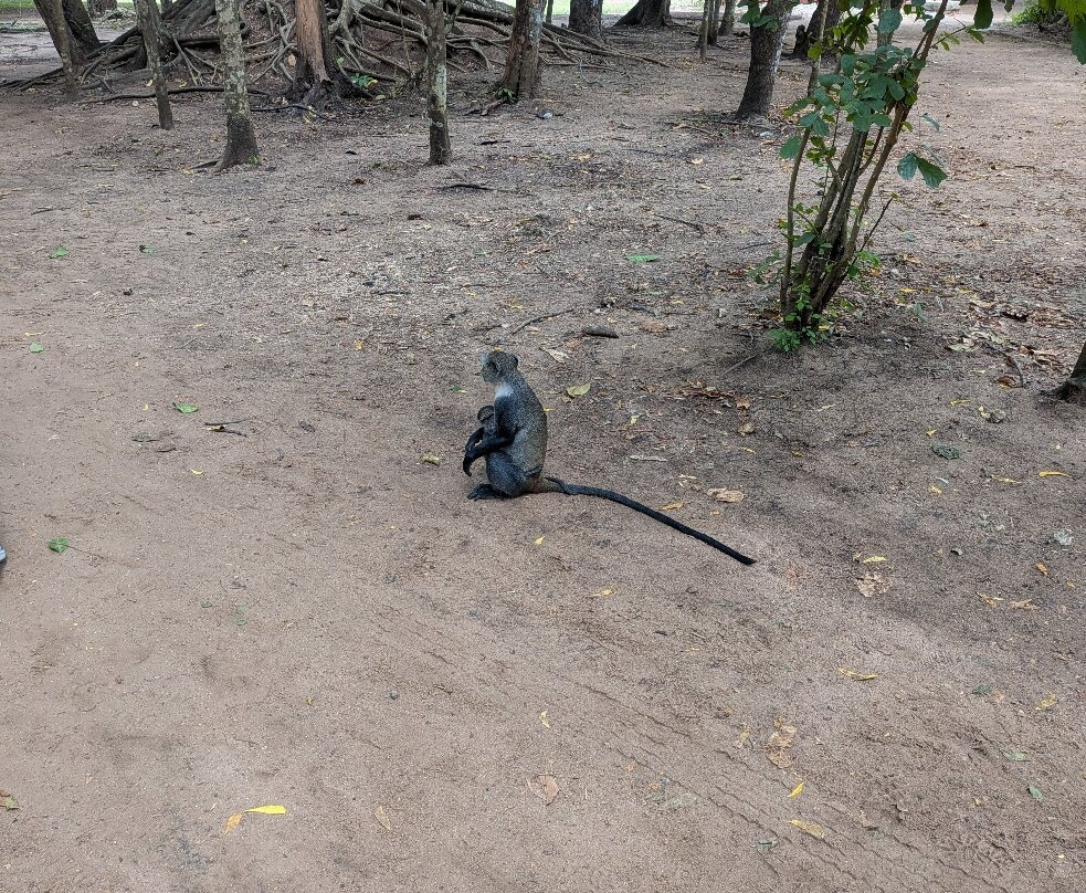 Safari In Kenya Con Samba-瓦塔木必去景点