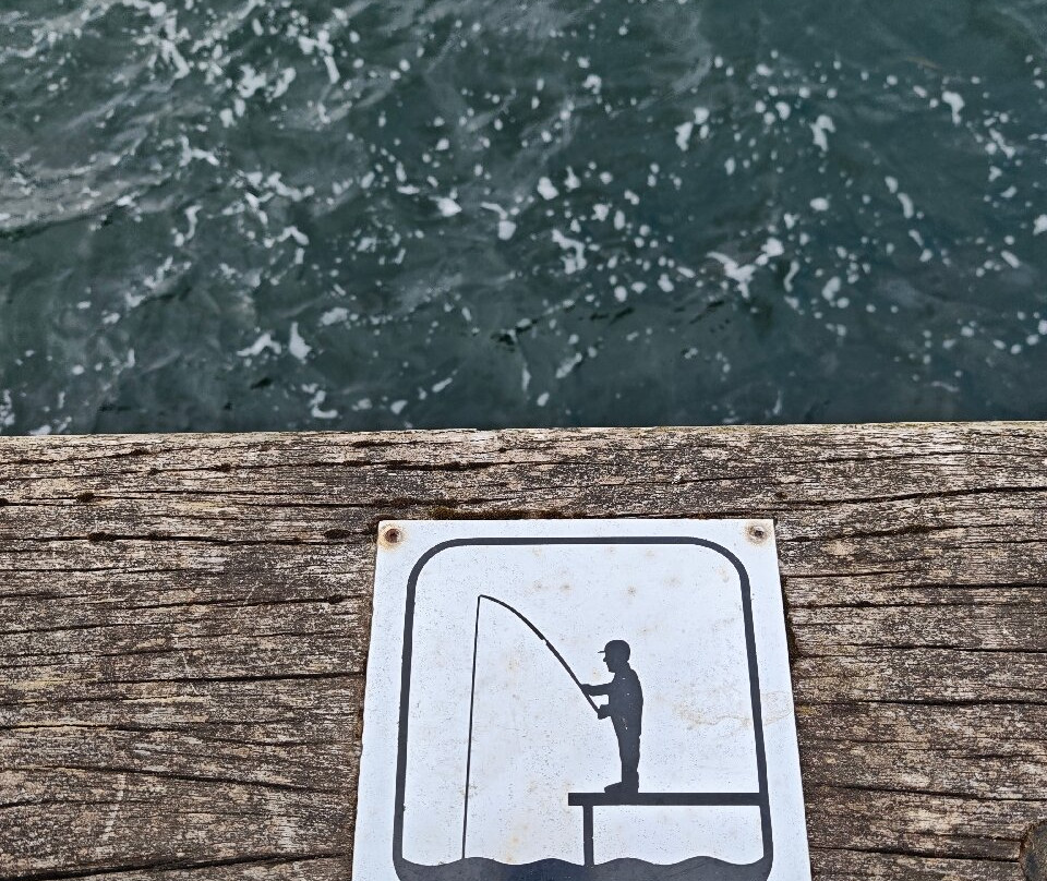 Gammel Havn, Middelfart-米泽尔法特必去景点