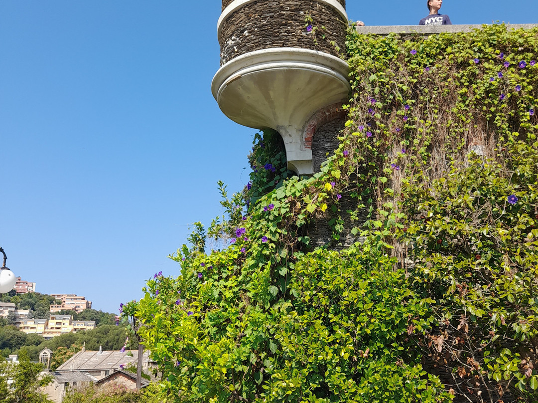 Parco Comunale di Arenzano-Arenzano必去景点