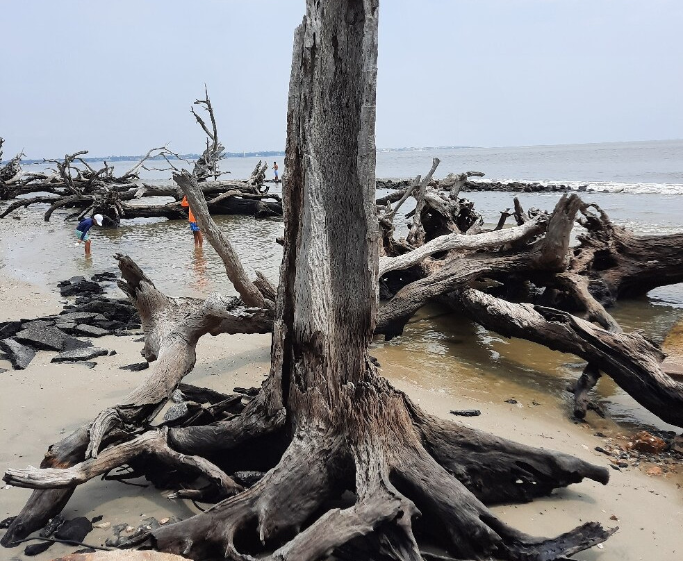 Driftwood Beach-吉柯岛必去景点