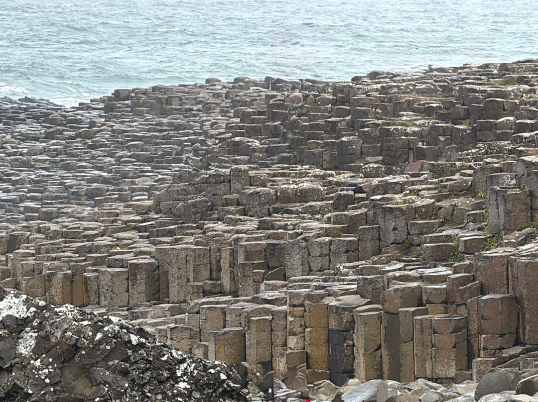 Executive Tours Ireland-利默里克必去景点