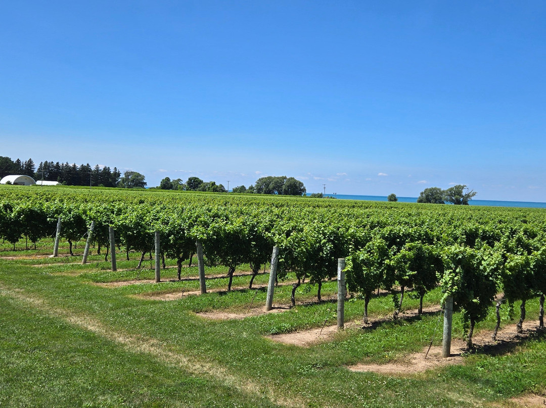 Konzelmann Estate Winery-滨湖尼亚加拉必去景点
