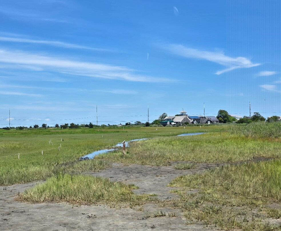 The Wetlands Institute-Stone Harbor必去景点