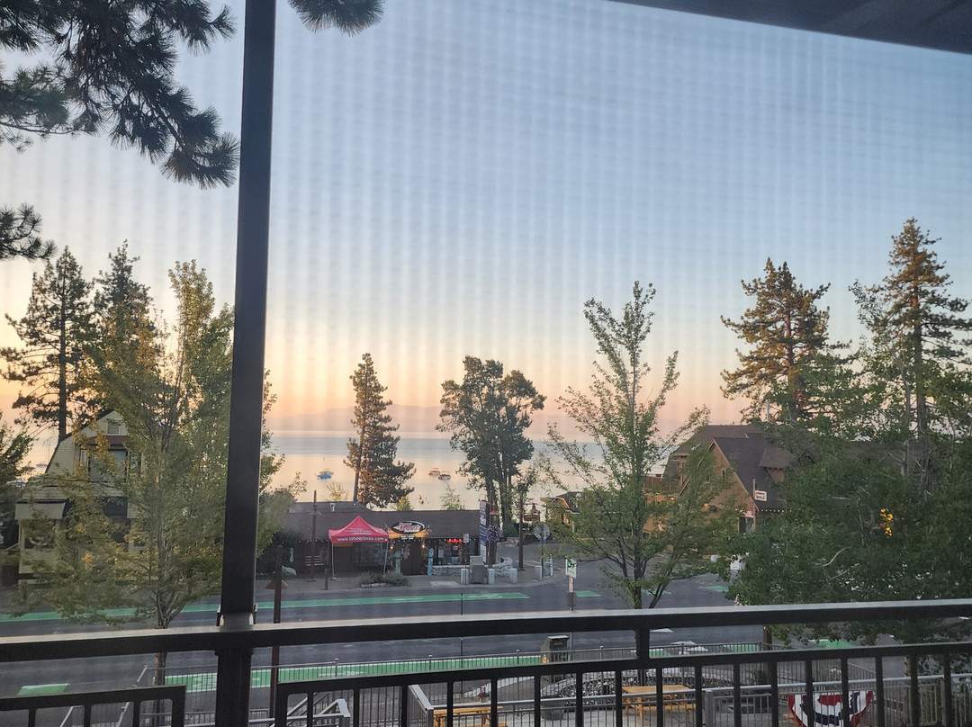 太浩湖市胡椒树旅馆主图