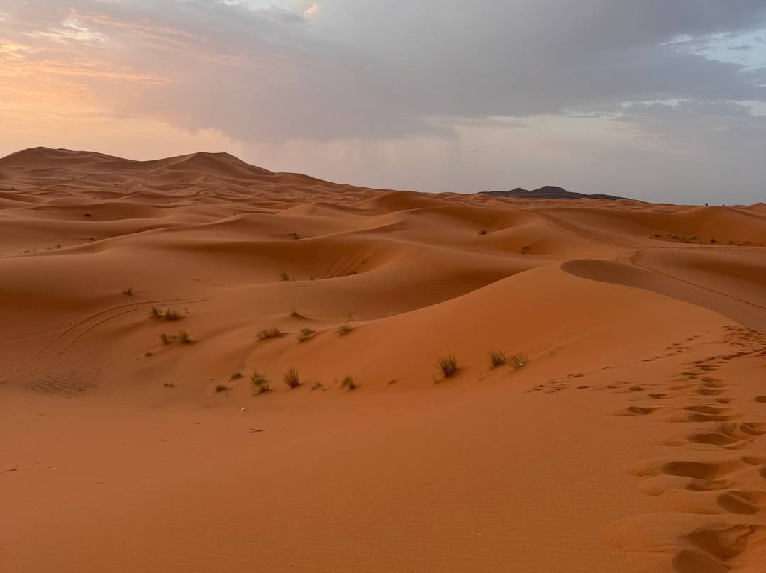 Marvelous Morocco-卡萨布兰卡必去景点