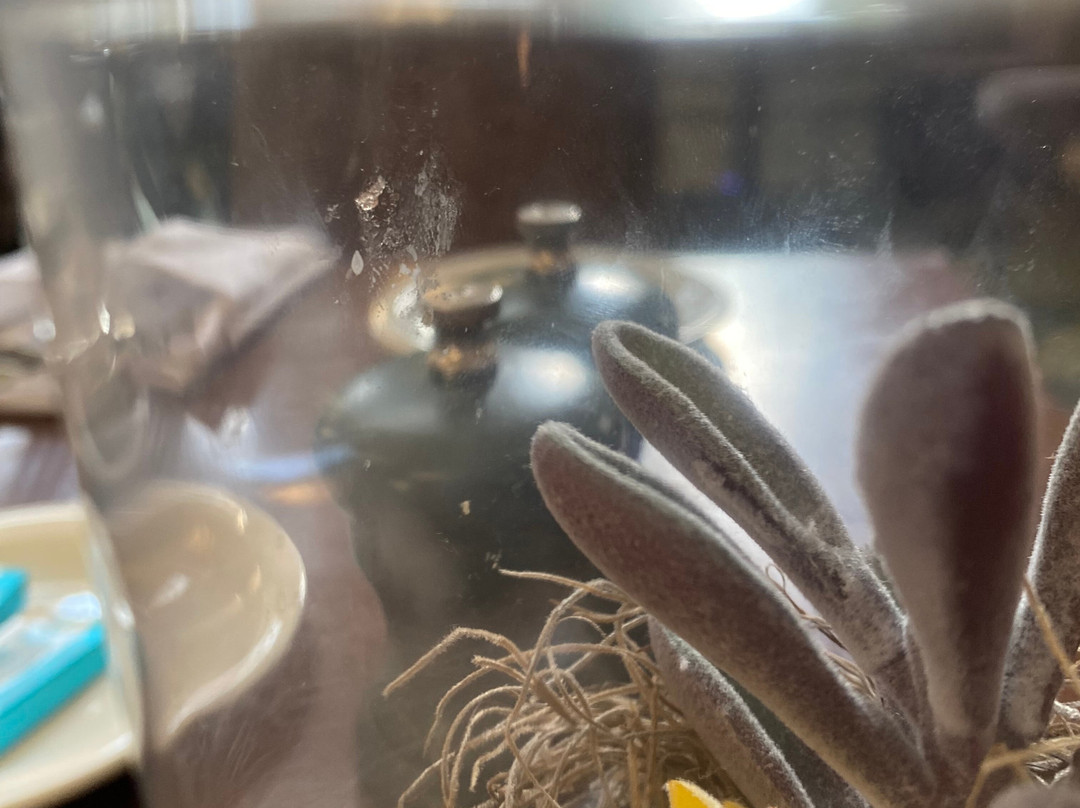 麦克唐纳巴斯水疗酒店主图