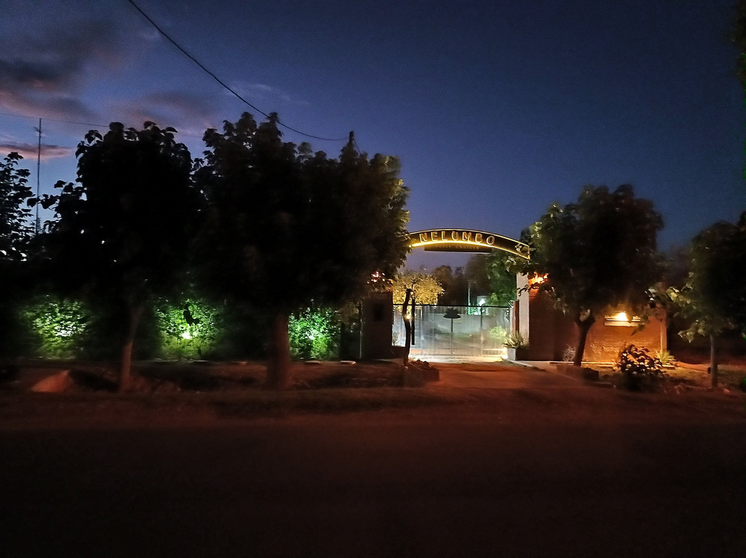 莲花小木屋酒店主图