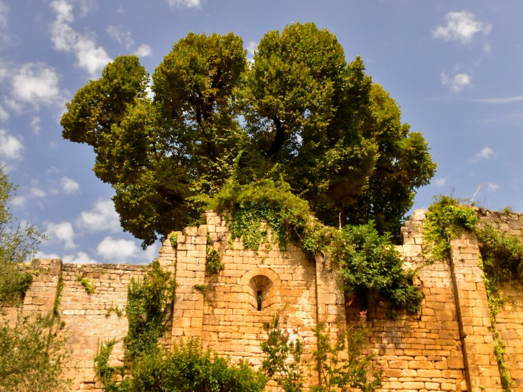 Château de Salignac-Salignac-Eyvigues必去景点