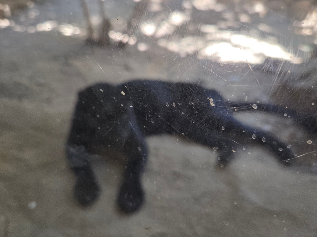 Zoo de Castellar-Castellar de la Frontera必去景点