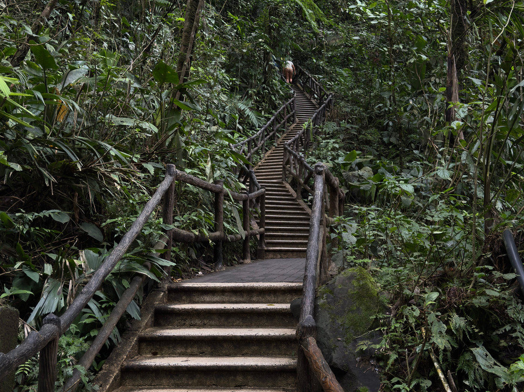 La Fortuna Waterfall-福德圣卡洛斯必去景点
