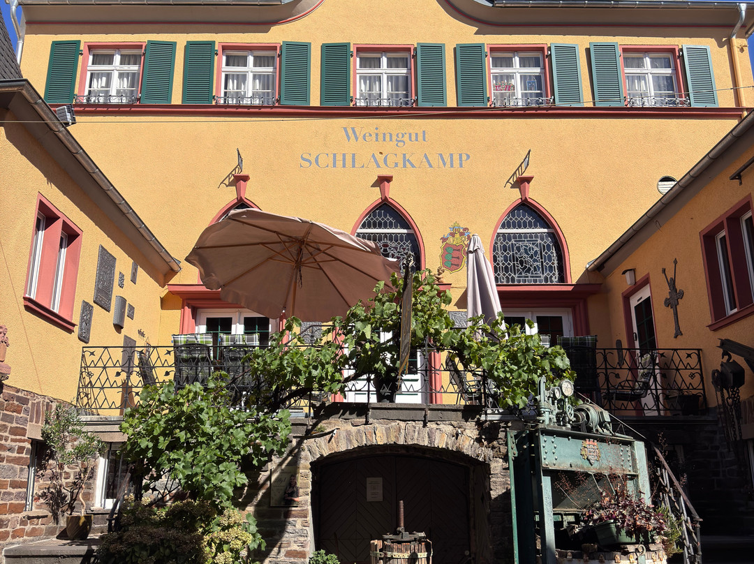 Schlagkamp Weinmuseum-Senheim必去景点