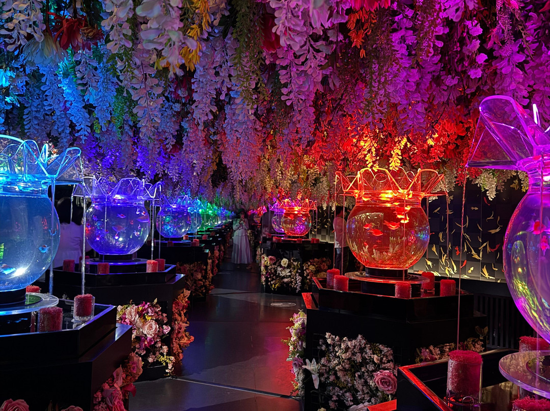 Art Aquarium-Ginza必去景点