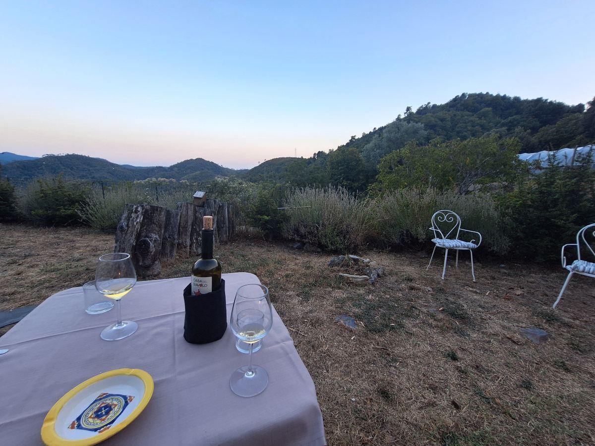Agriturismo degli Olivi-旅行者