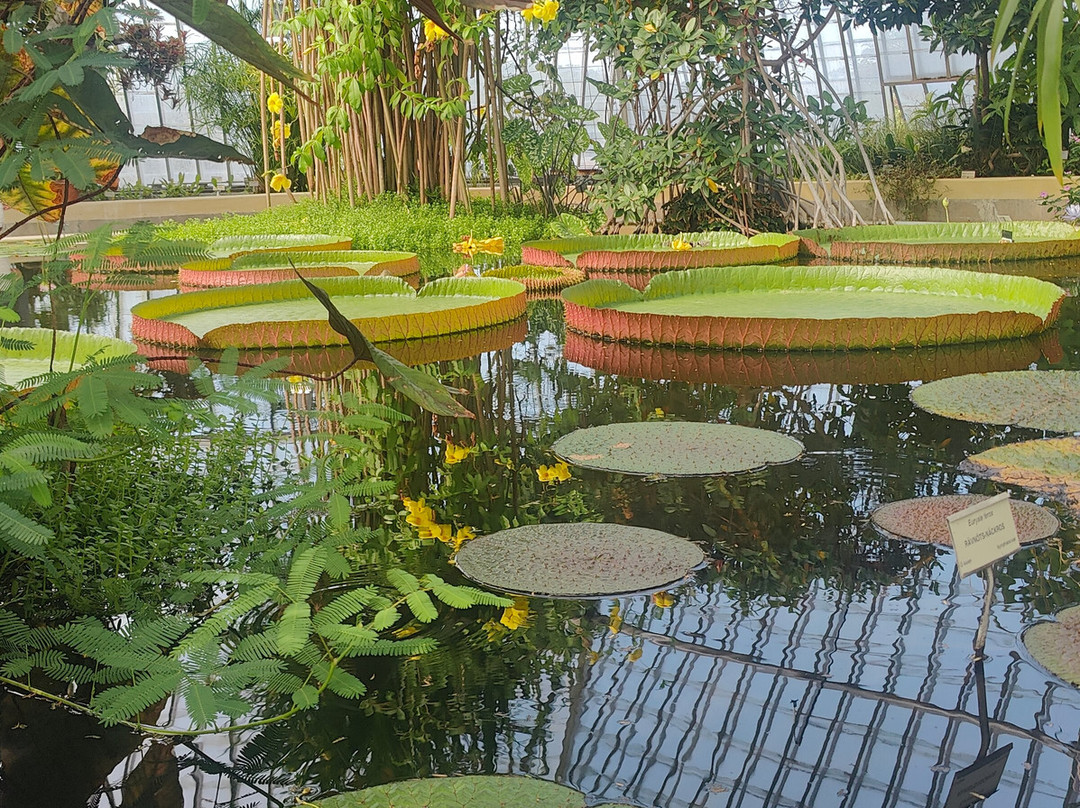 Bergius Botanic Garden-斯德哥尔摩必去景点
