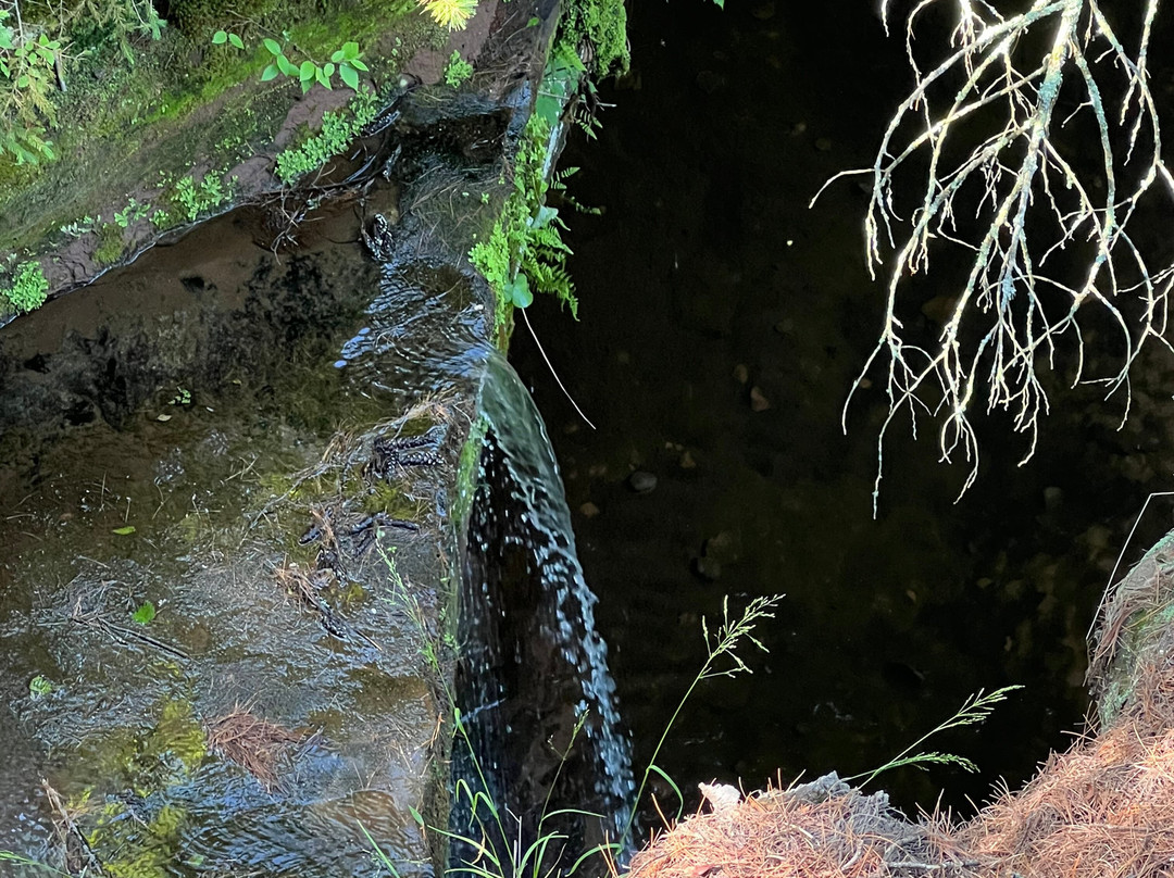 Twin Falls Park-Port Wing必去景点