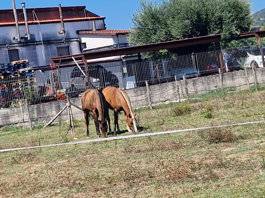 Agriturismo Tenuta Portararo主图