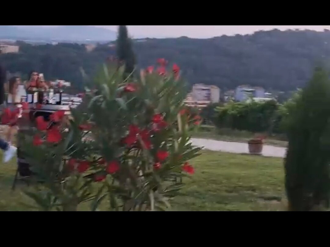 Azienda Agricola De Leyva-佩萨罗必去景点