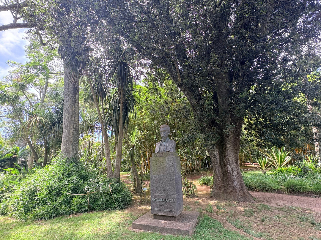 Jardim Botânico António Borges-蓬塔德尔加达必去景点