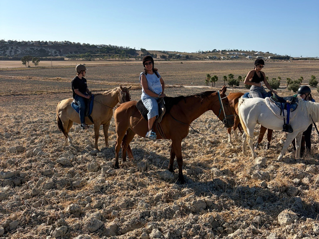 Al-Mesquid Stables-Sanlucar de Barrameda必去景点