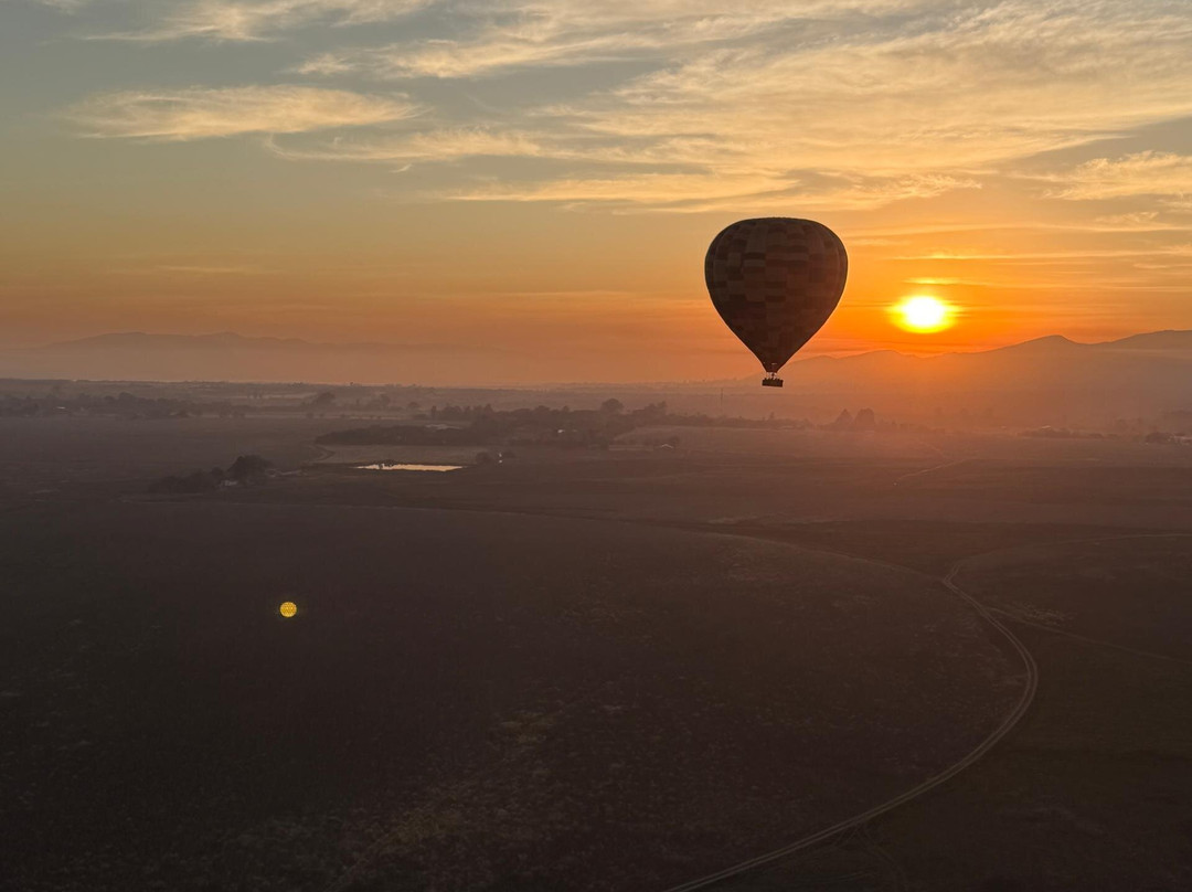 Wildside Tours and Safaris - Day Tours-约翰内斯堡必去景点