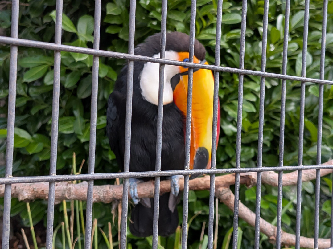 Vogelpark Avifauna-Alphen aan den Rijn必去景点