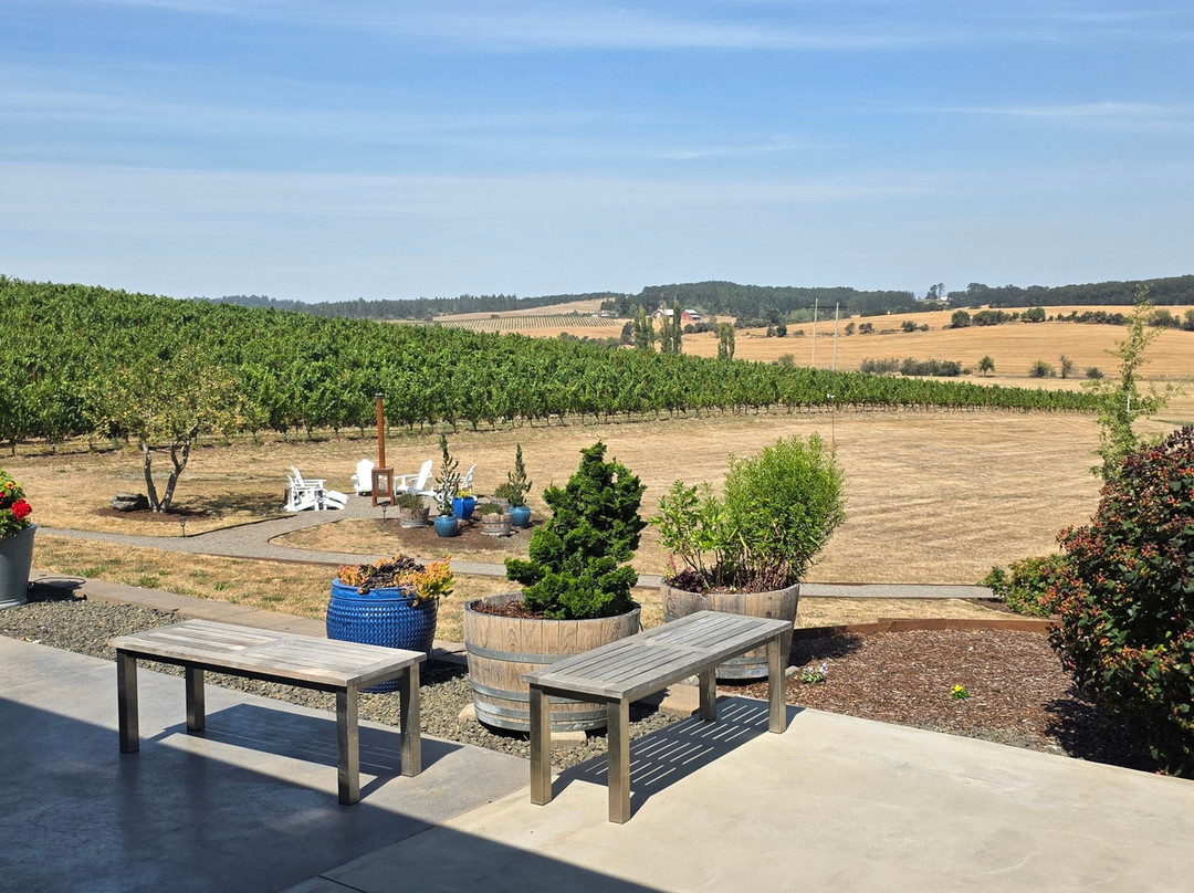 Andante Vineyard-Dallas必去景点