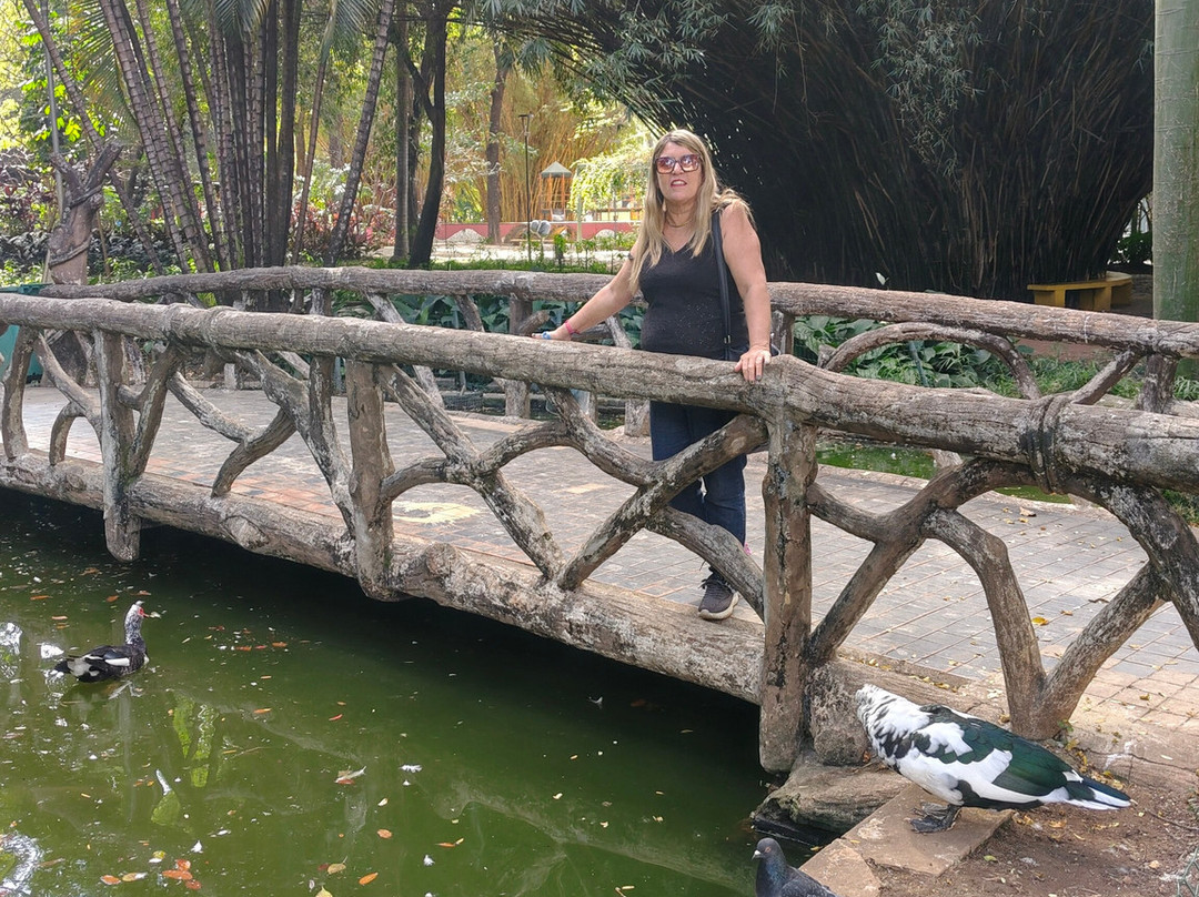 Americo Renee Giannetti Municipal Park-贝洛哈里桑塔必去景点