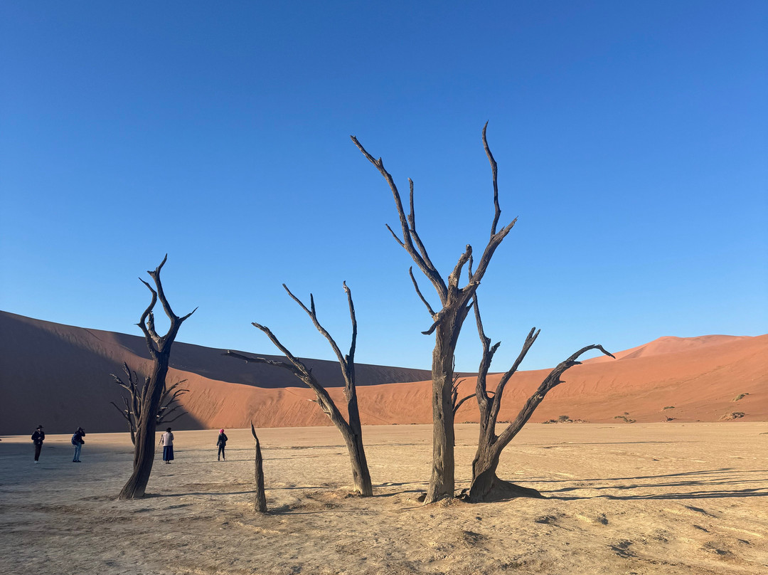 Deadvlei-苏丝斯黎必去景点