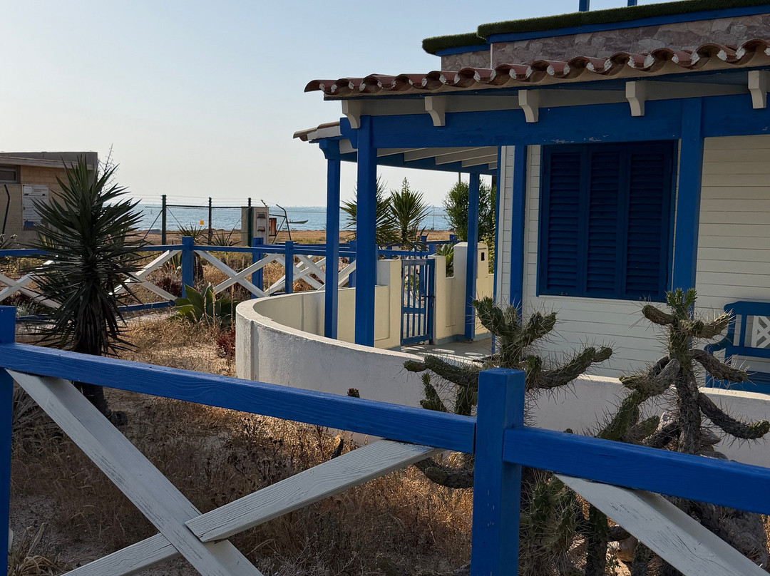 ODYSSEY - Ria Formosa Boat Tours-奥良必去景点