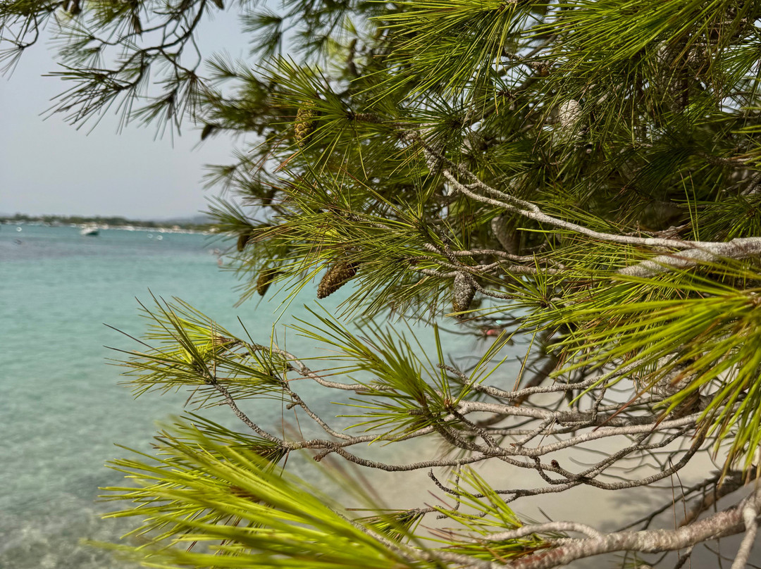 Plage Saint-Cyprien-维琪奥港必去景点