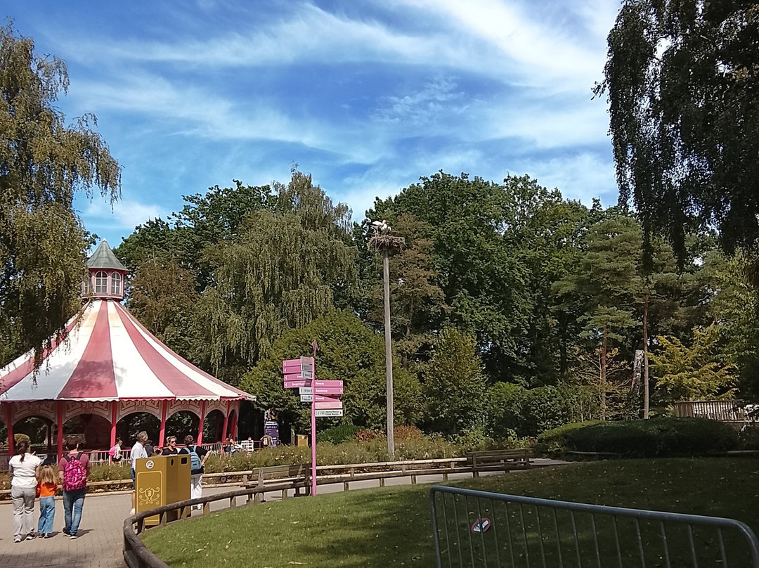 Bellewaerde Aquapark-伊普尔必去景点