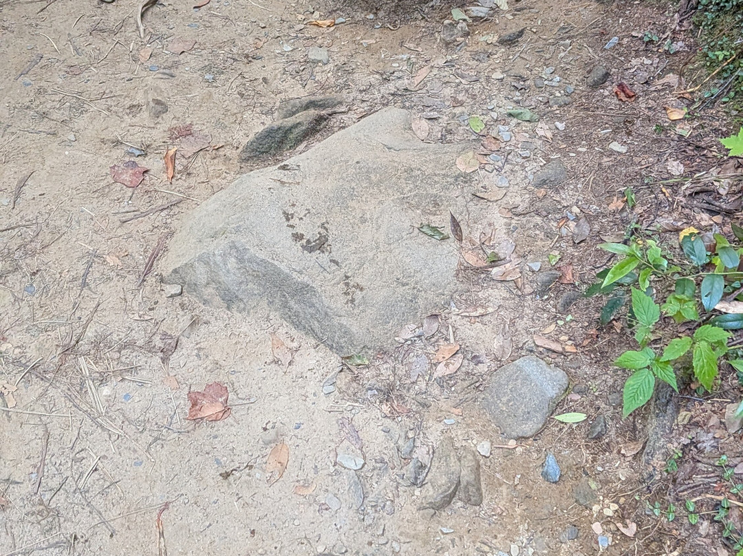 Grotto Falls Trail-大雾山国家公园必去景点